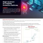 Gartner Report: Magic Quadrant for Endpoint Platforms